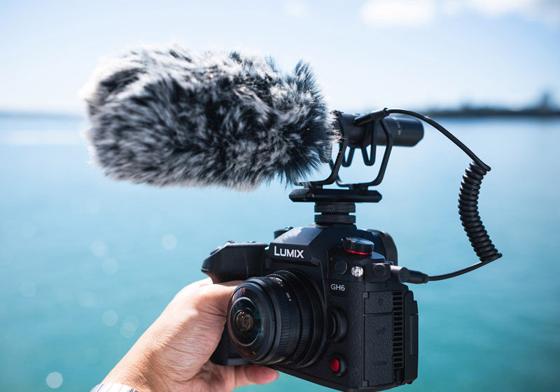 What is directional microphone for camera and how to choose it?